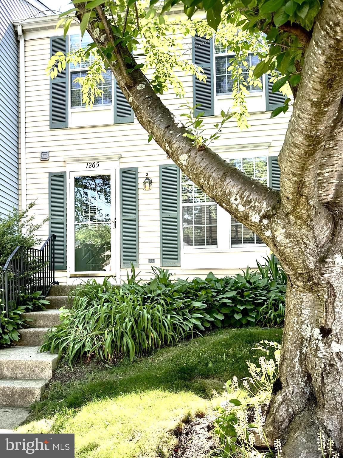 THE BLUFFS AT DEEP CREEK - Residential