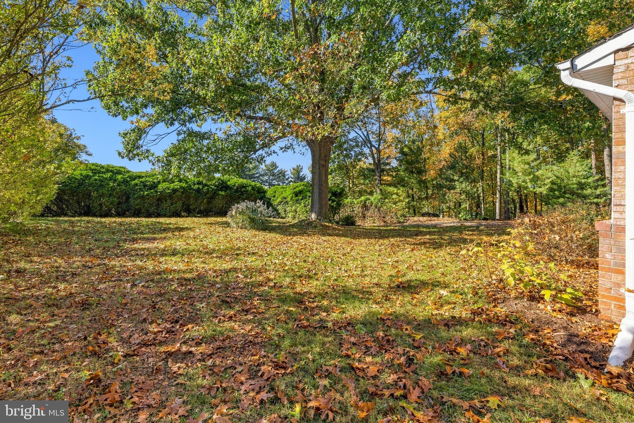 4409 HIGHBORO DRIVE