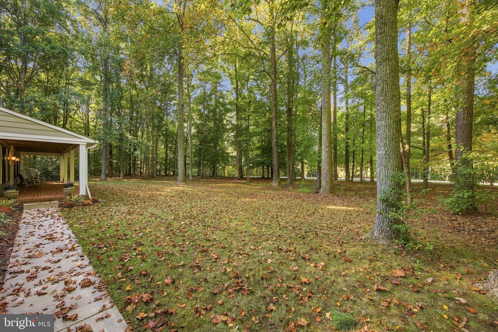 521 CHIPPINGWOOD DRIVE DRIVE