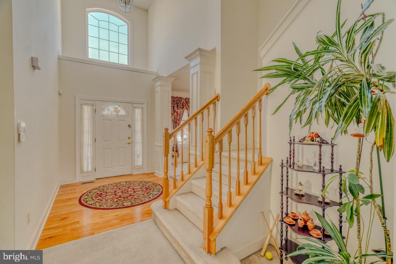 ISLAND GREEN ESTATES - Residential