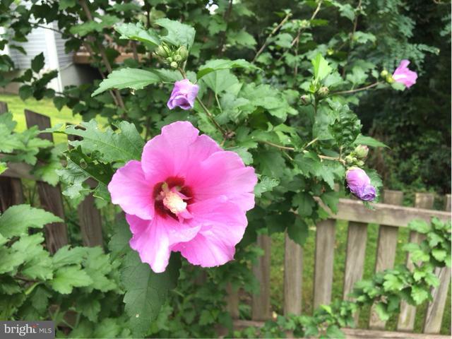 HASTINGS HUNT - Residential