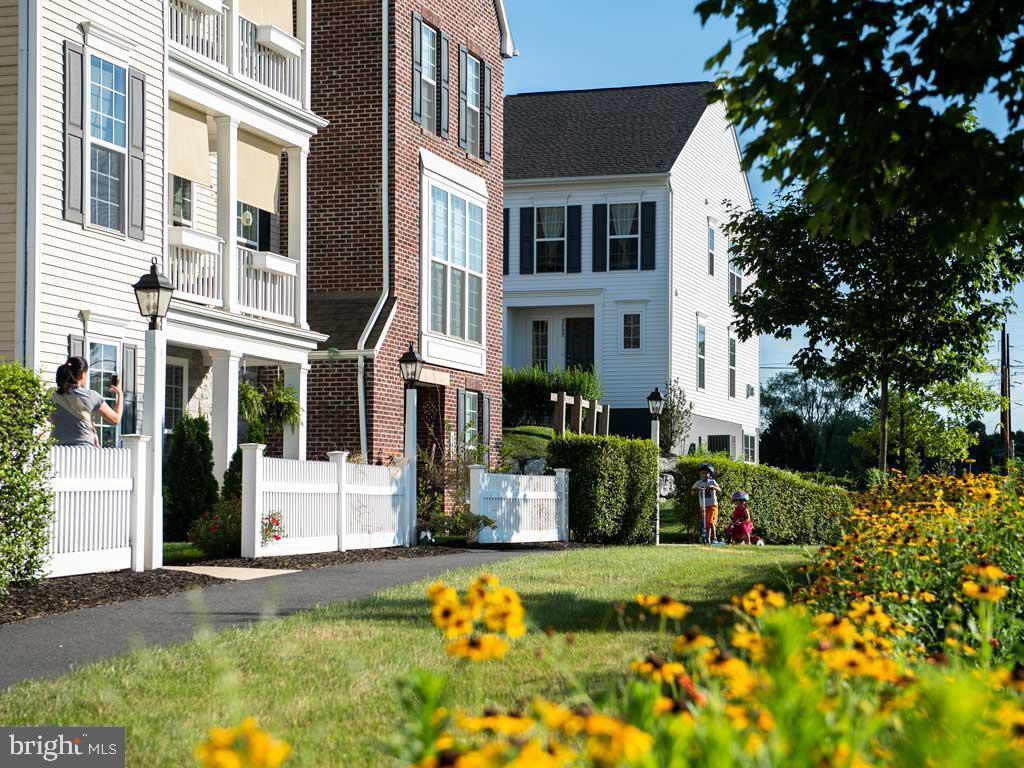 ARCONA - Residential Lease