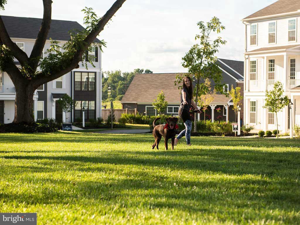 ARCONA - Residential Lease