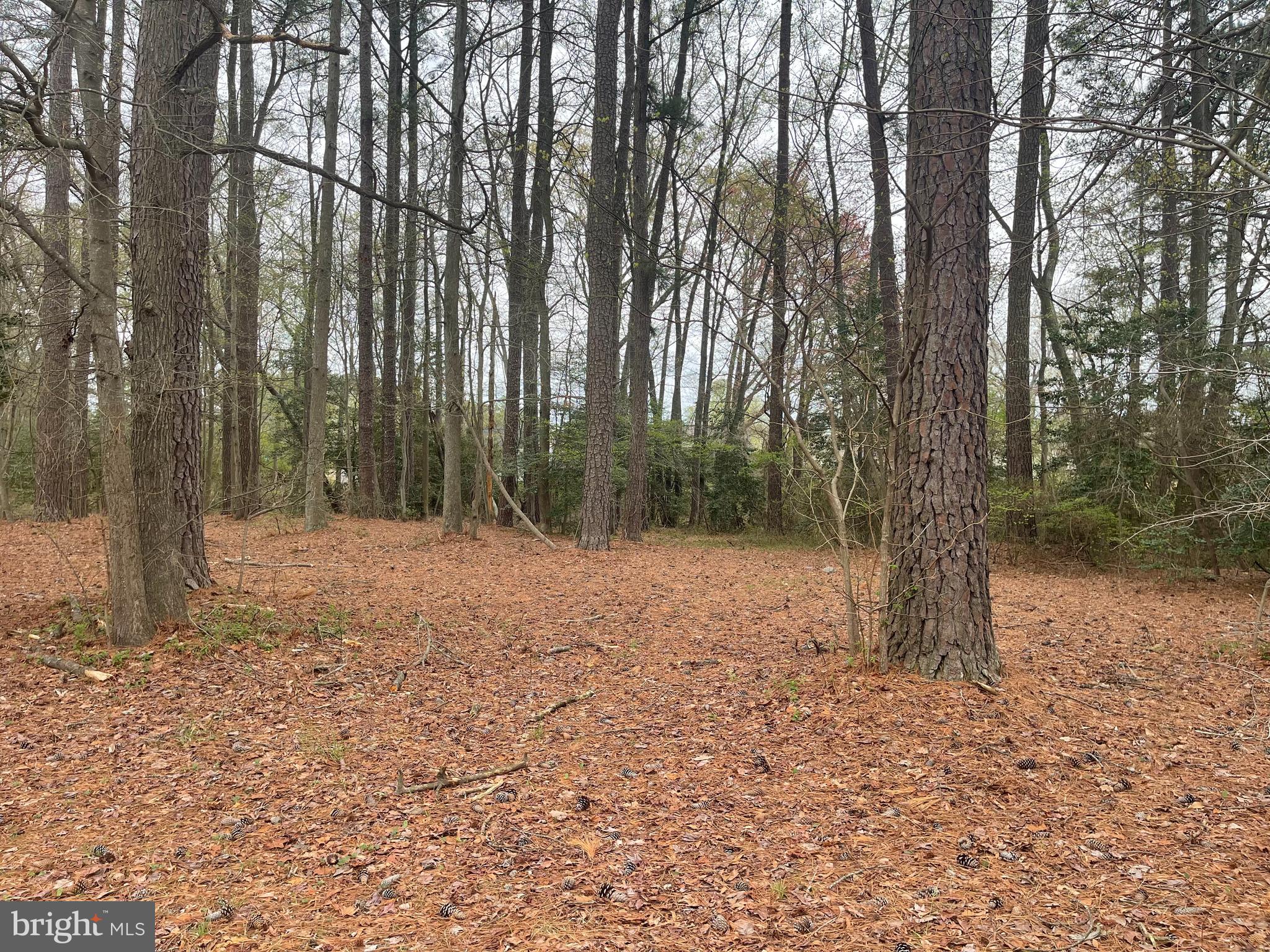 Welcome to Cabin Point/Glebe Harbor with numerous amenities that are included in the small association fee. Amenities include a swimming pool, boat ramp, picnic area with pavilion area, beaches, tennis courts & boat/trailer/RV parking! This is a semi-wooded lot on a quiet street that is within walking distance of the neighborhood pool. Water and sewer is available for peace of mind.