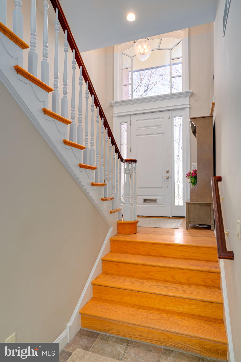 FITLER SQUARE - Residential