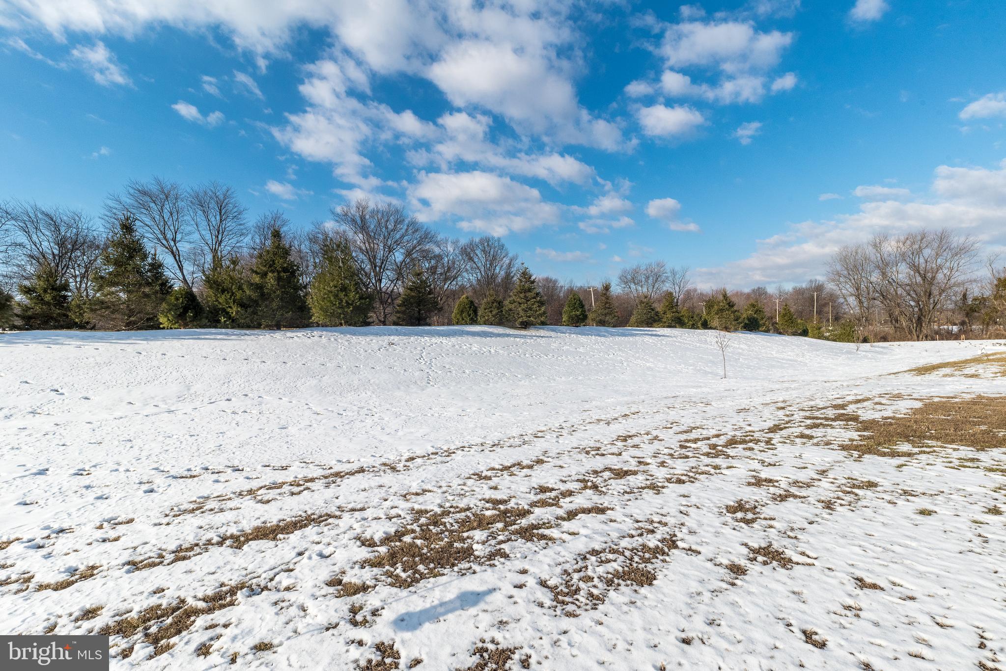 RESERVE AT EMERSON FARM - Residential
