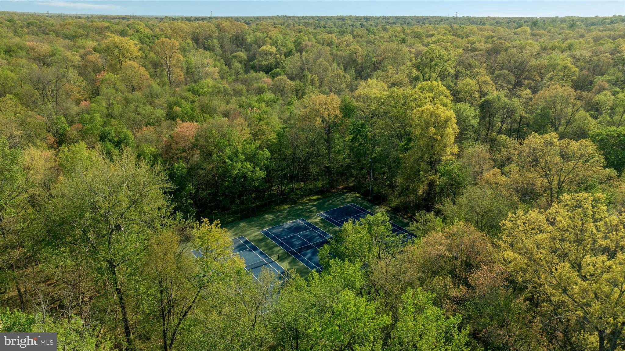 CHALET WOODS - Residential