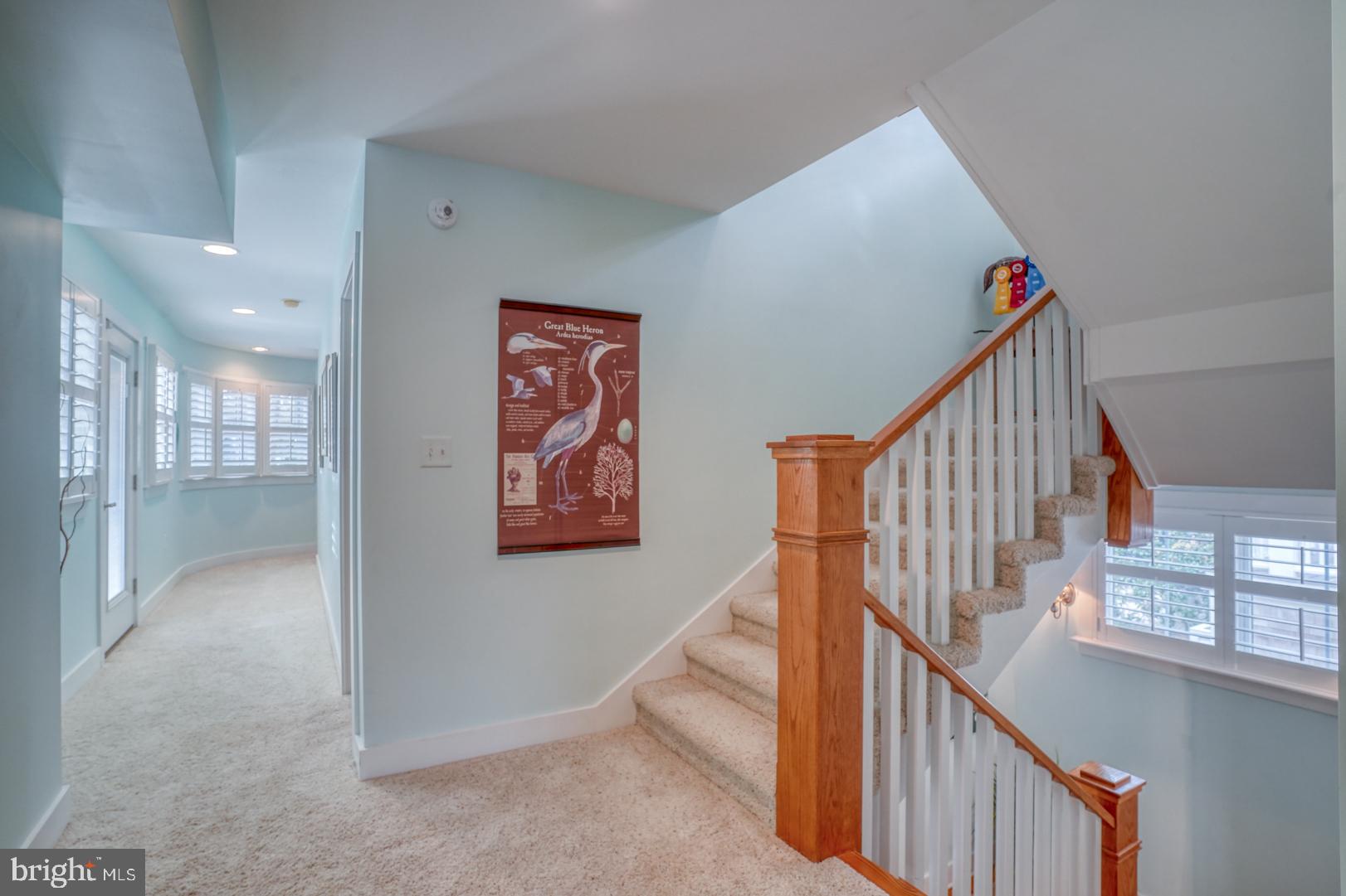 SOUTH REHOBOTH - Residential