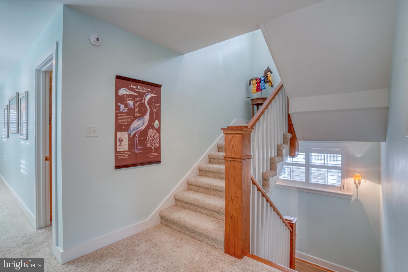 SOUTH REHOBOTH - Residential