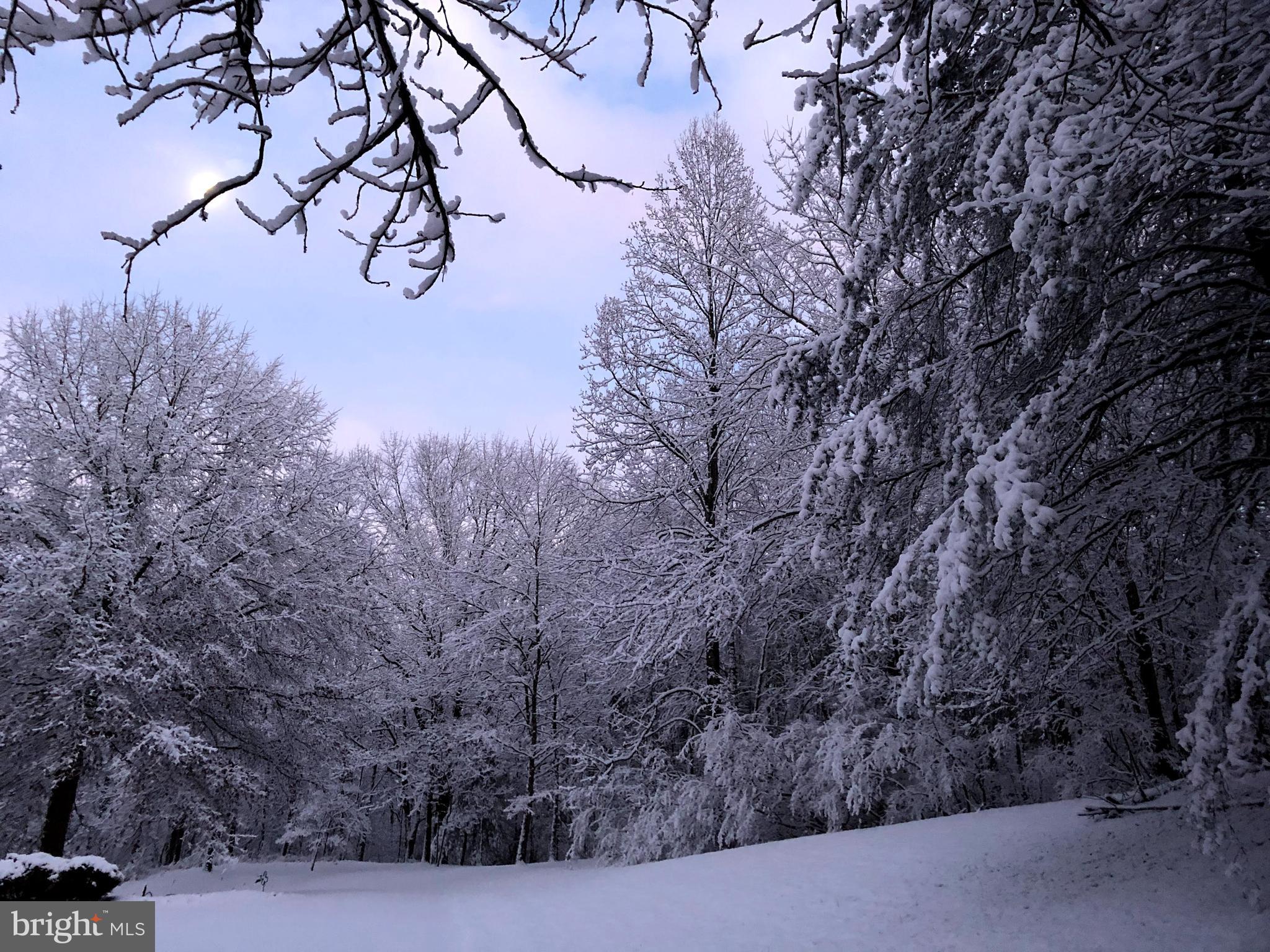 COBBLER SPRINGS FARM SUB - Residential