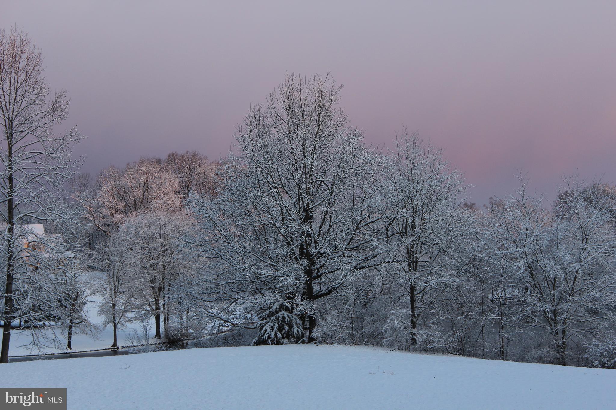 COBBLER SPRINGS FARM SUB - Residential