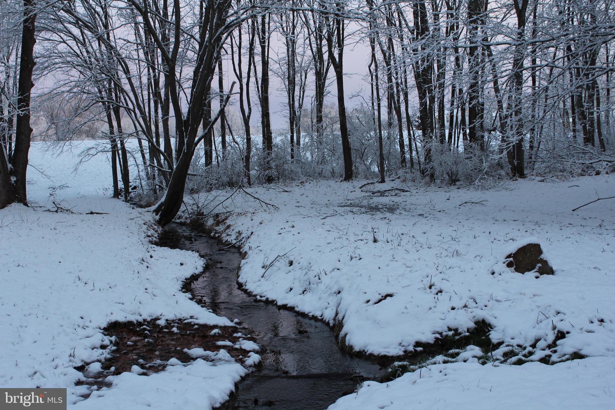 COBBLER SPRINGS FARM SUB - Residential