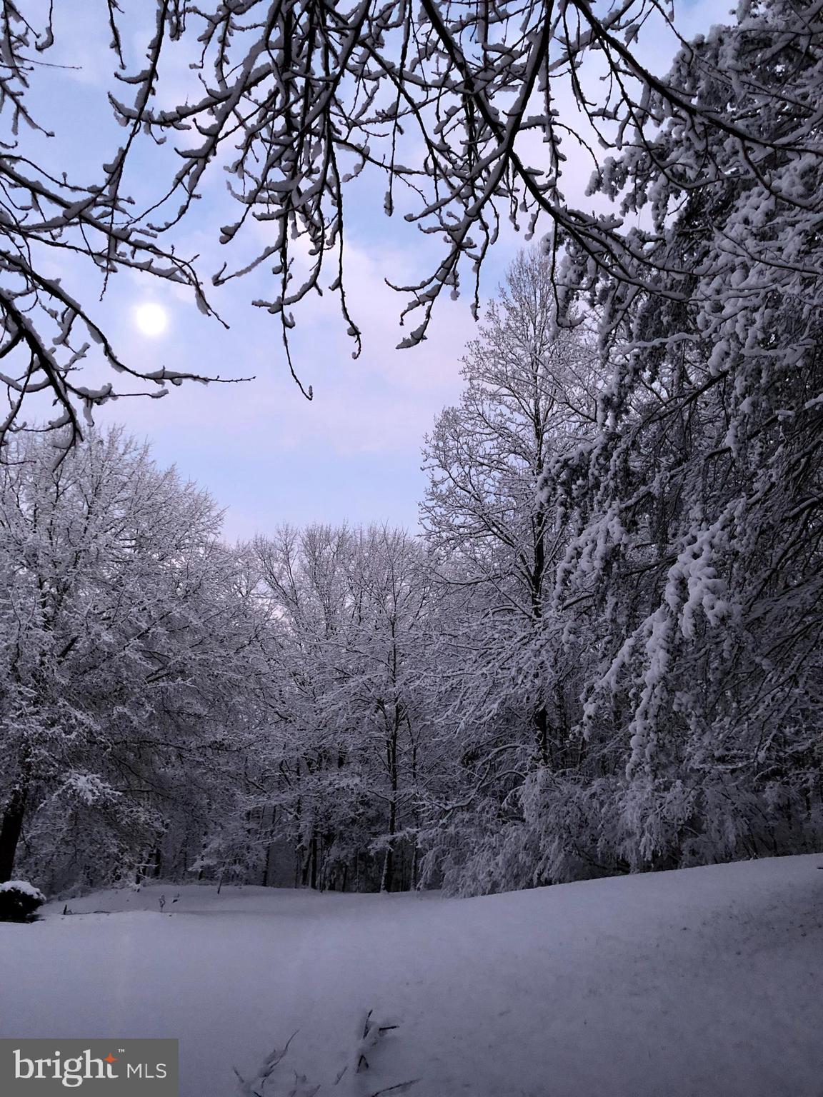 COBBLER SPRINGS FARM SUB - Residential