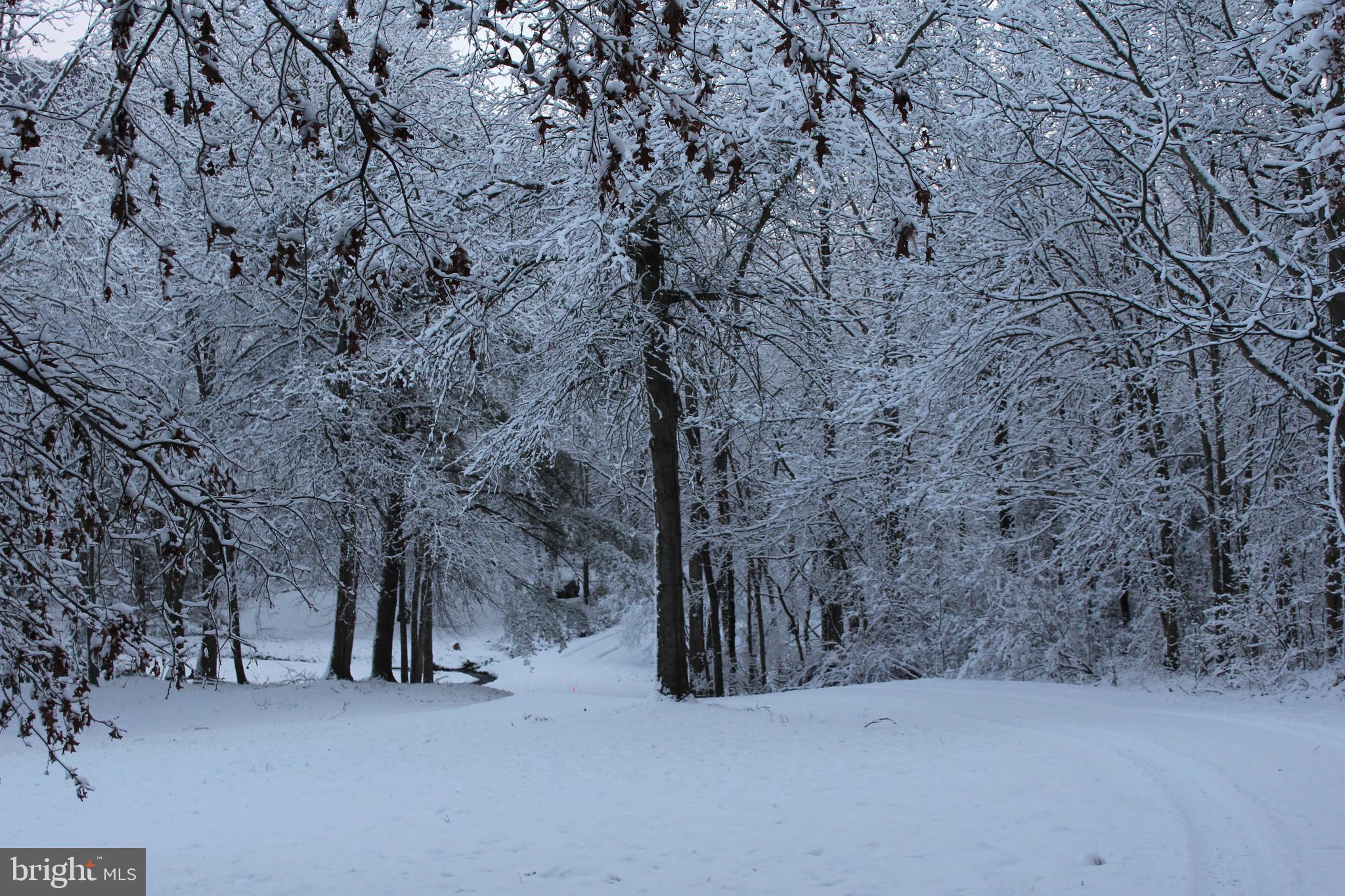 COBBLER SPRINGS FARM SUB - Residential
