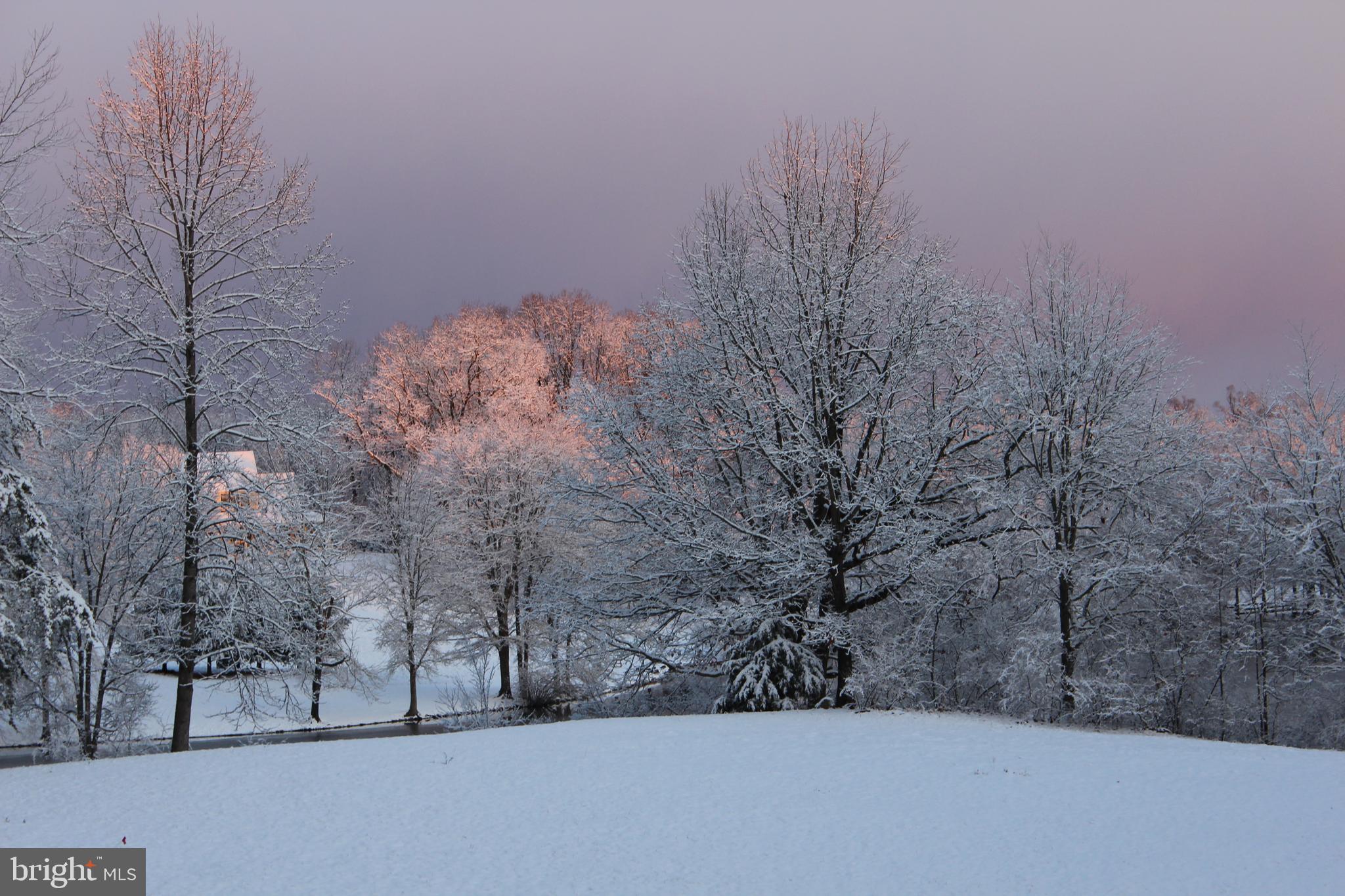 COBBLER SPRINGS FARM SUB - Residential
