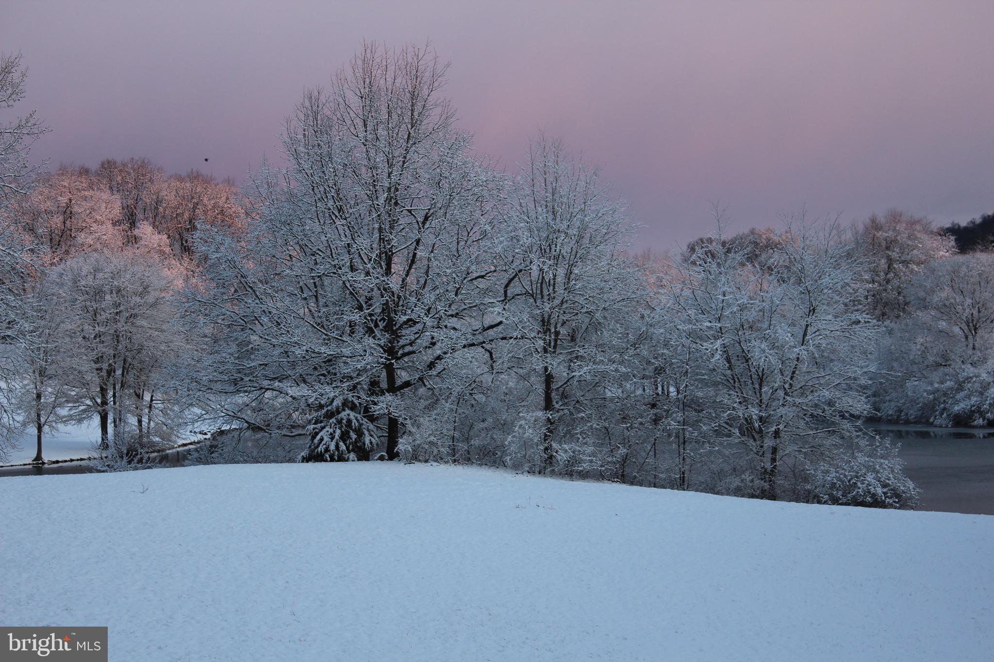 COBBLER SPRINGS FARM SUB - Residential