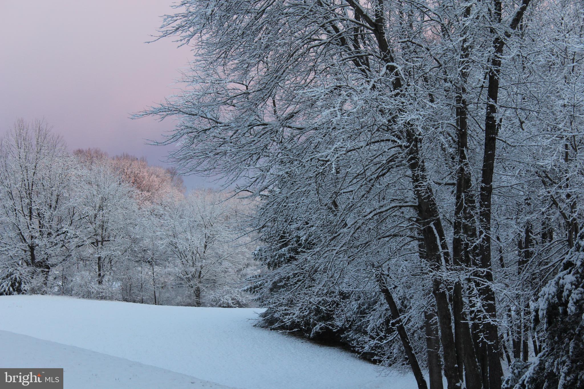 COBBLER SPRINGS FARM SUB - Residential