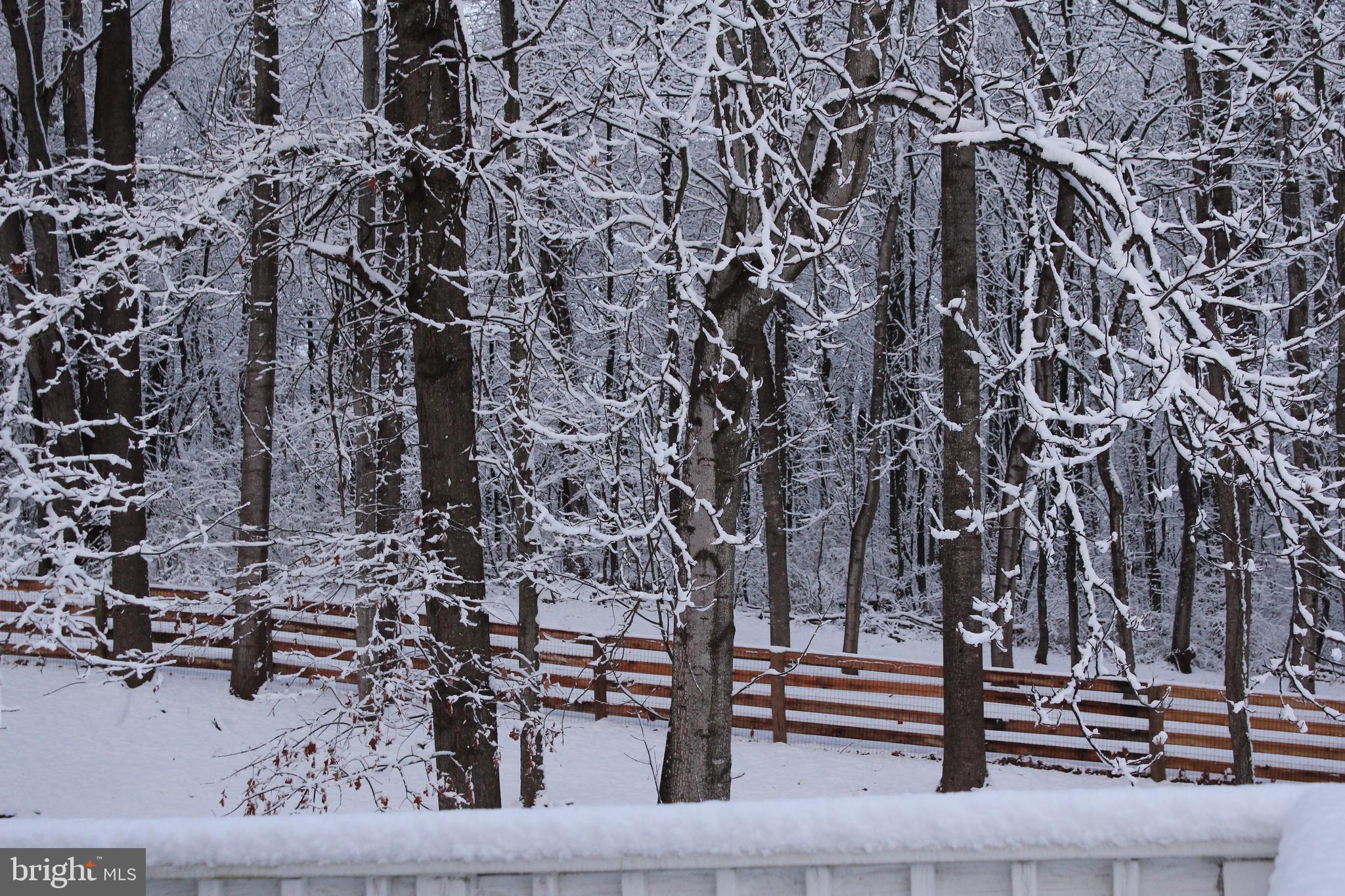 COBBLER SPRINGS FARM SUB - Residential