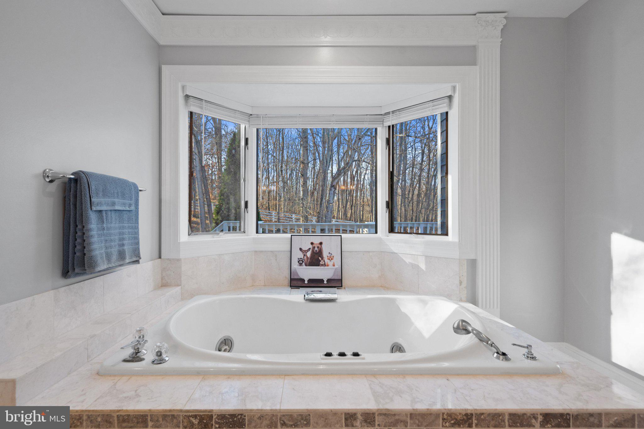 COBBLER SPRINGS FARM SUB - Residential