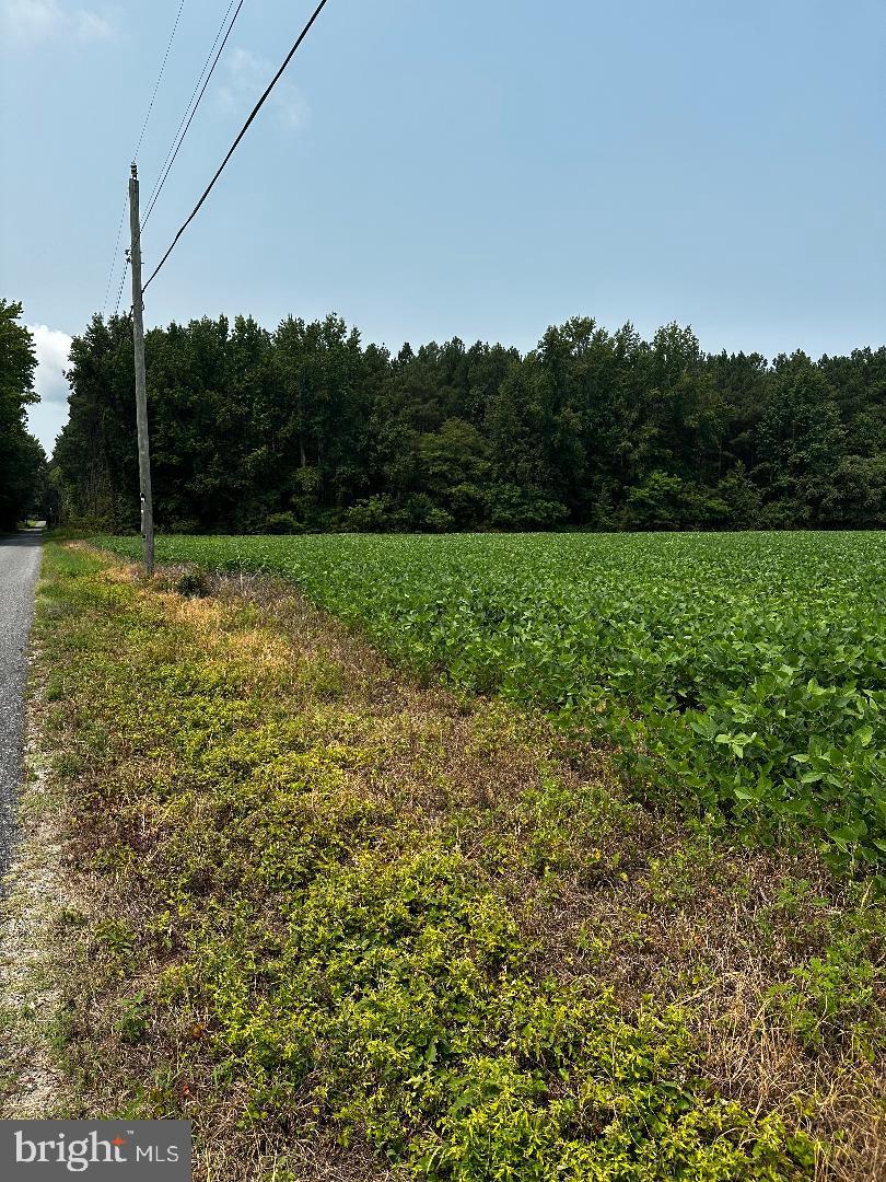 Tax ID 36 19 ZACATA ROAD
