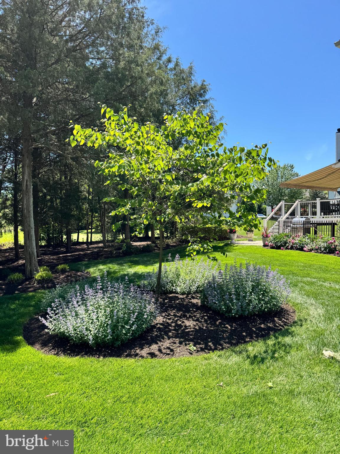 SOUTH RIDING - Residential