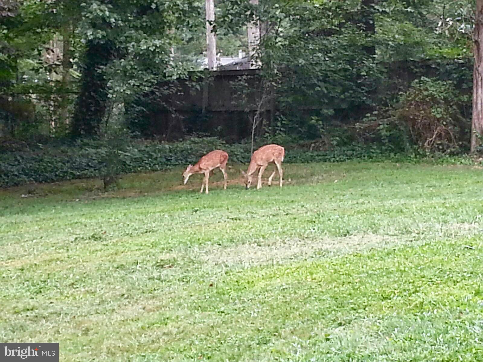 WESTGATE - Residential Lease