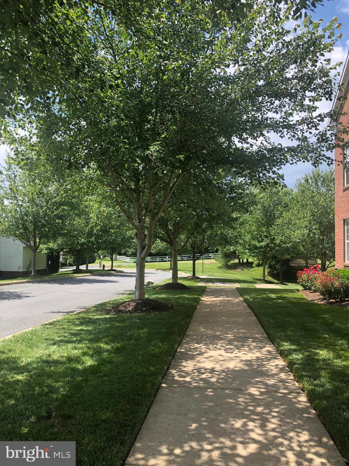 SUFFIELD MEADOWS - Residential