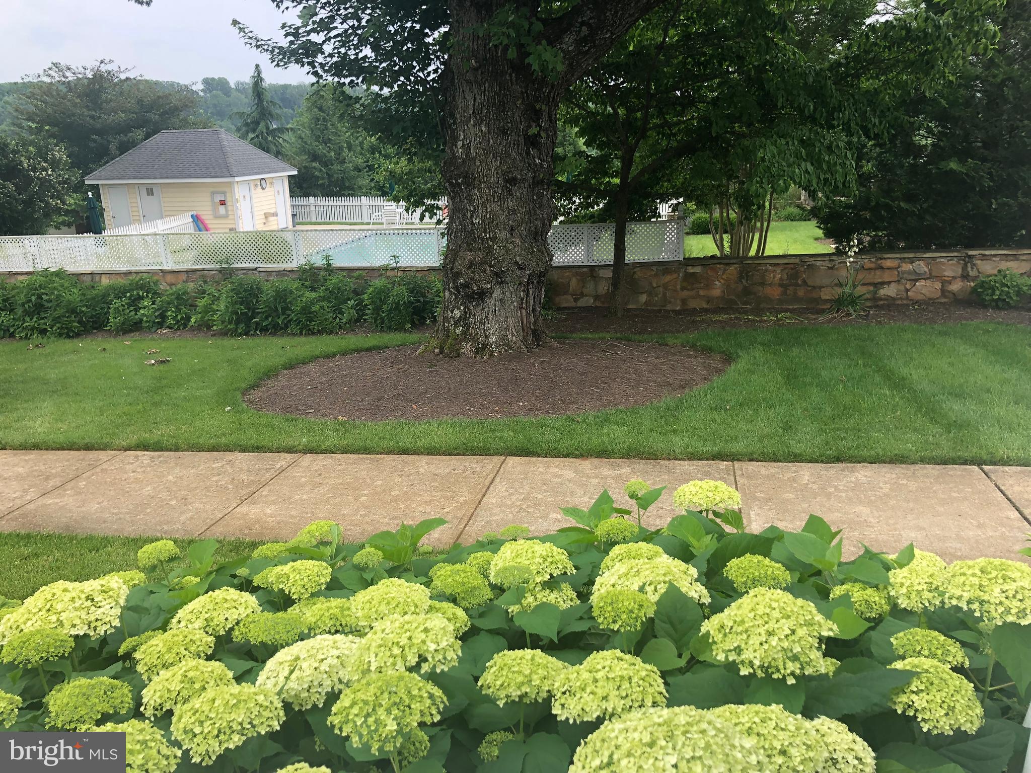 SUFFIELD MEADOWS - Residential