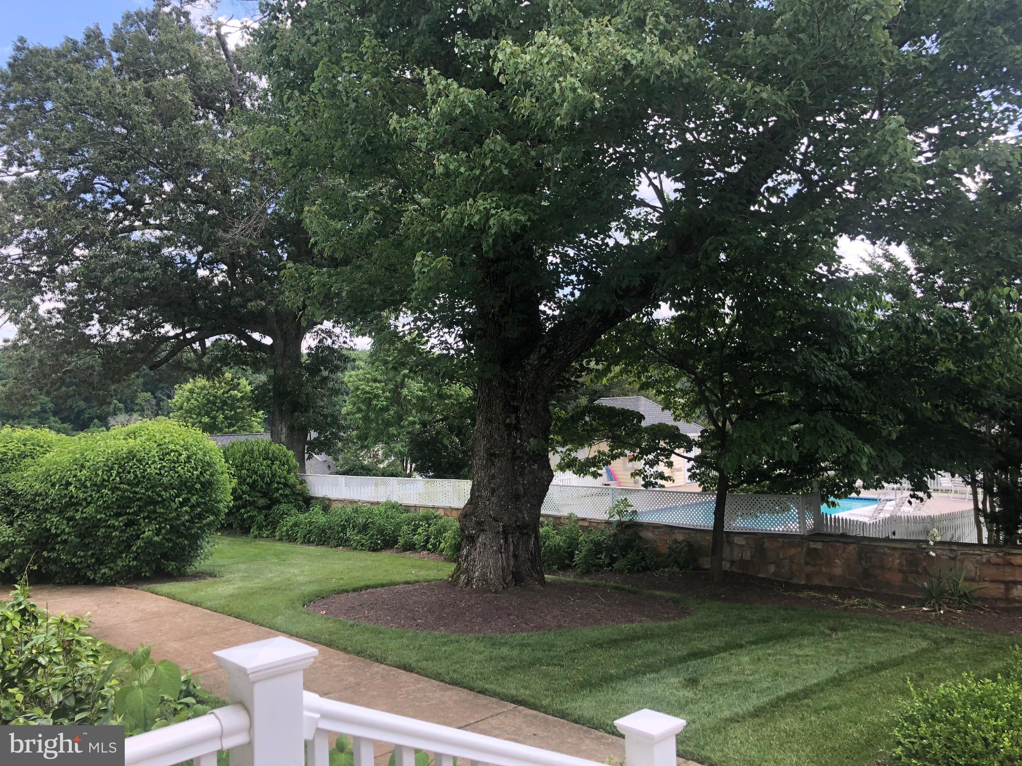 SUFFIELD MEADOWS - Residential