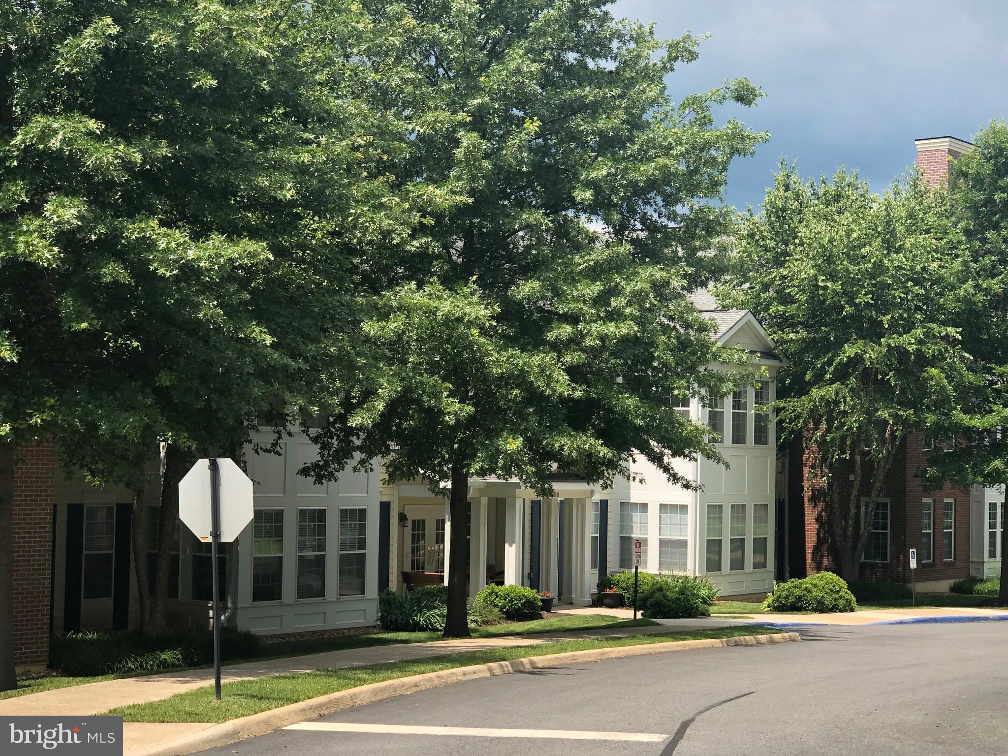 SUFFIELD MEADOWS - Residential