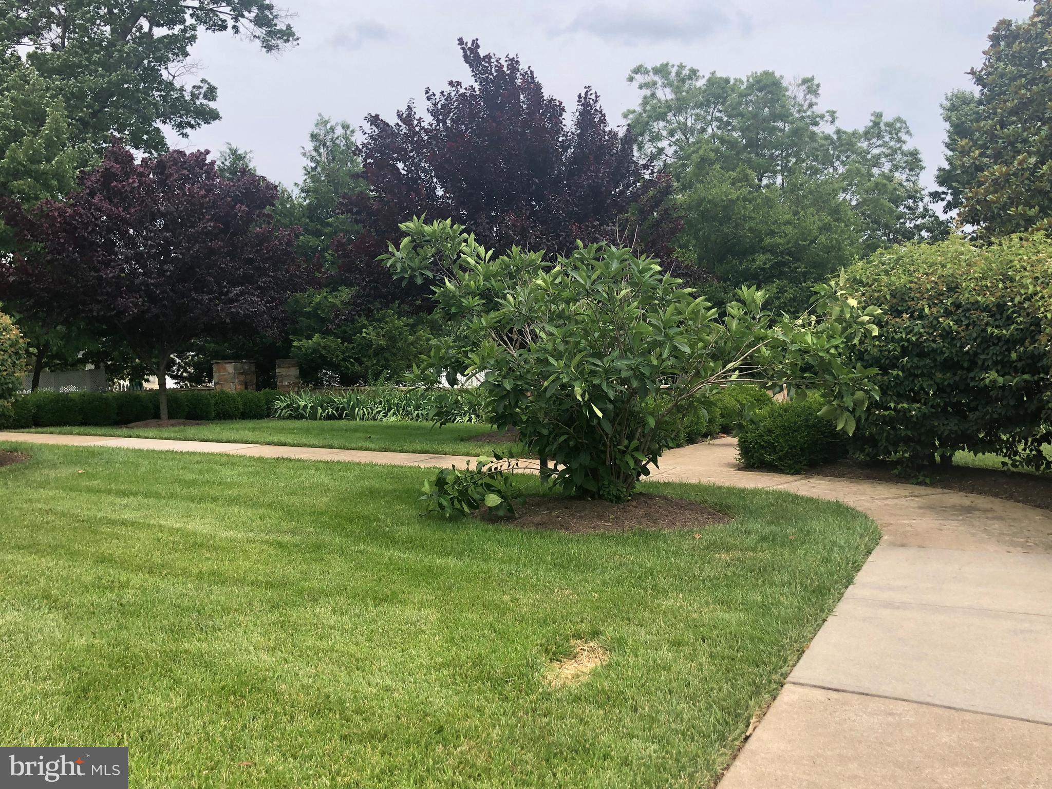 SUFFIELD MEADOWS - Residential