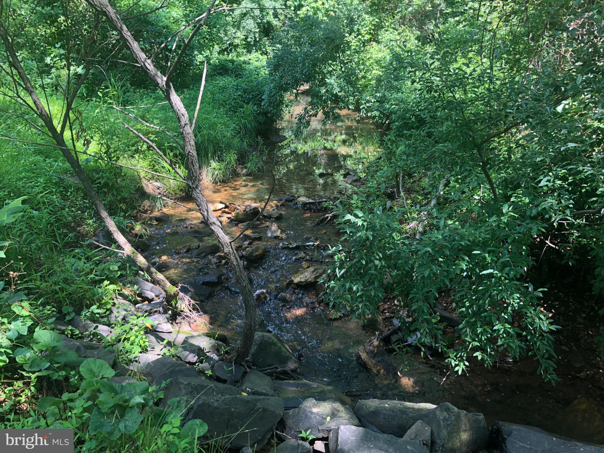 SUFFIELD MEADOWS - Residential