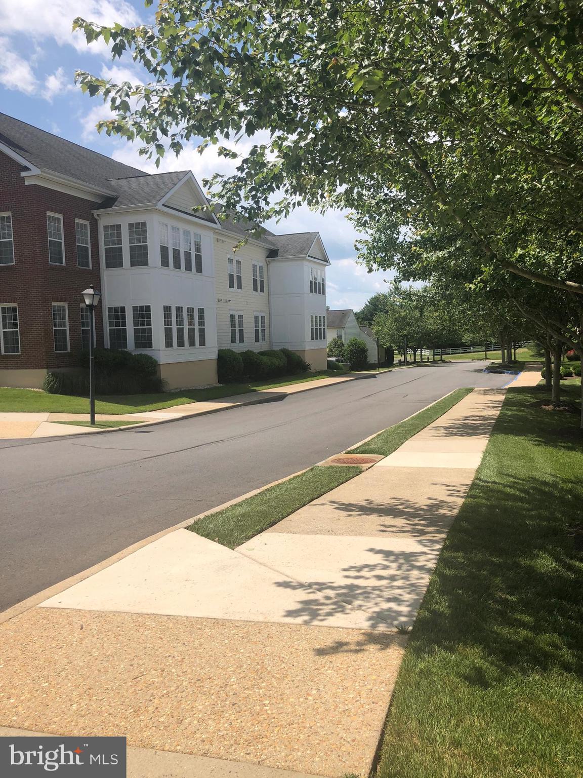 SUFFIELD MEADOWS - Residential