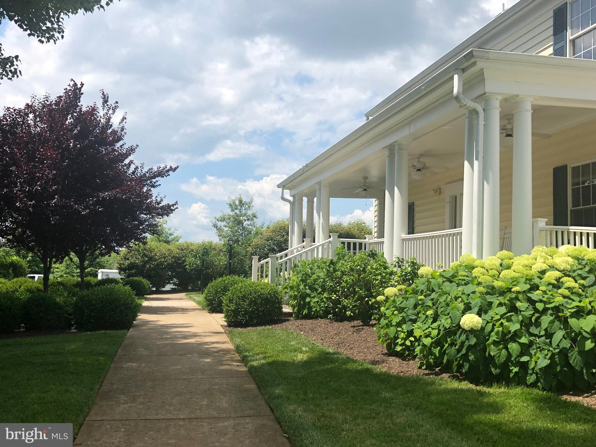 SUFFIELD MEADOWS - Residential