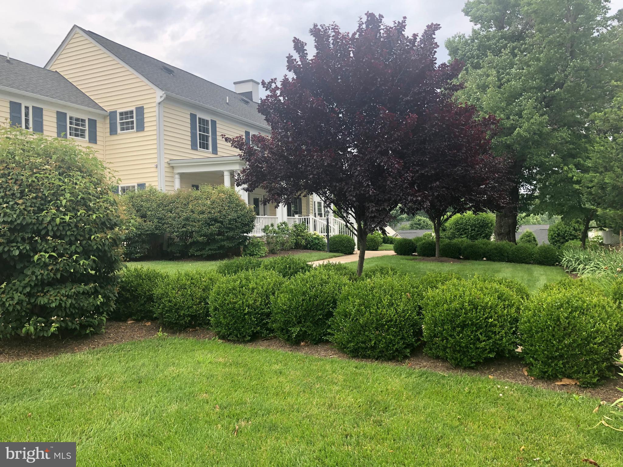 SUFFIELD MEADOWS - Residential