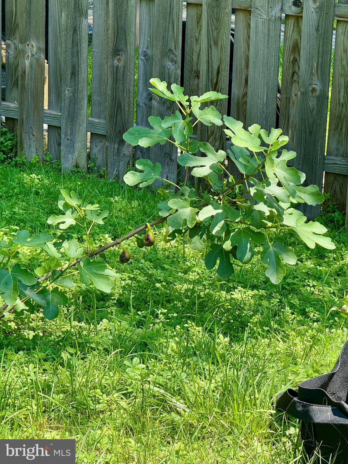 CEDMONT - Residential