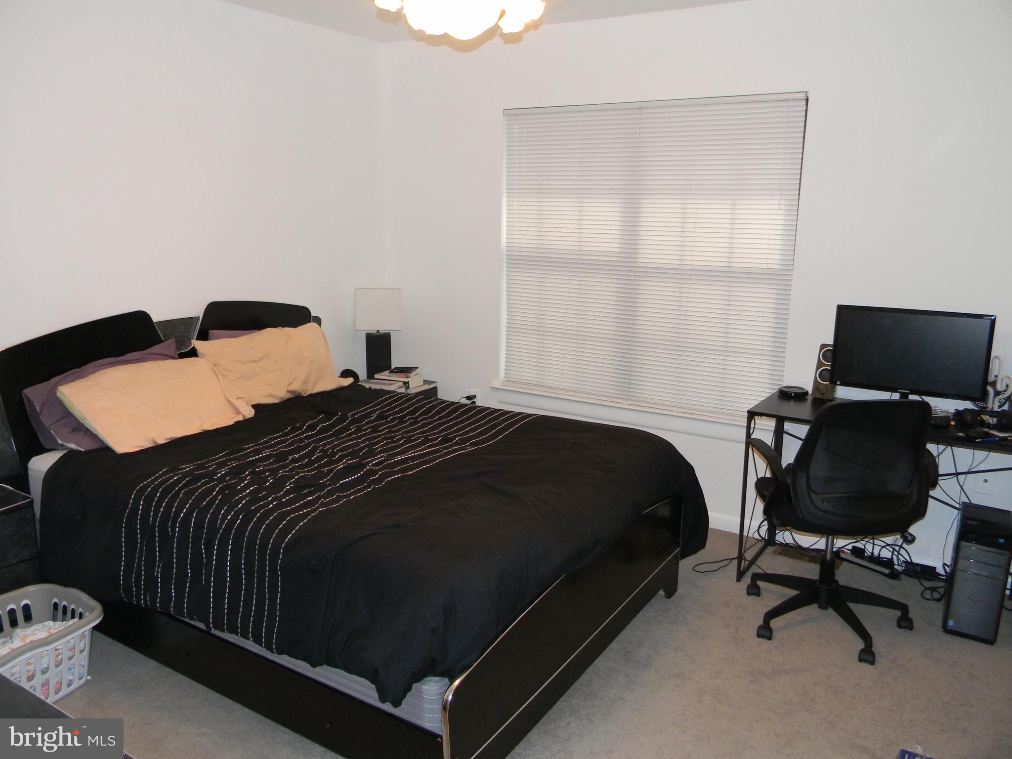 BOSTON RIDGE - Residential Lease