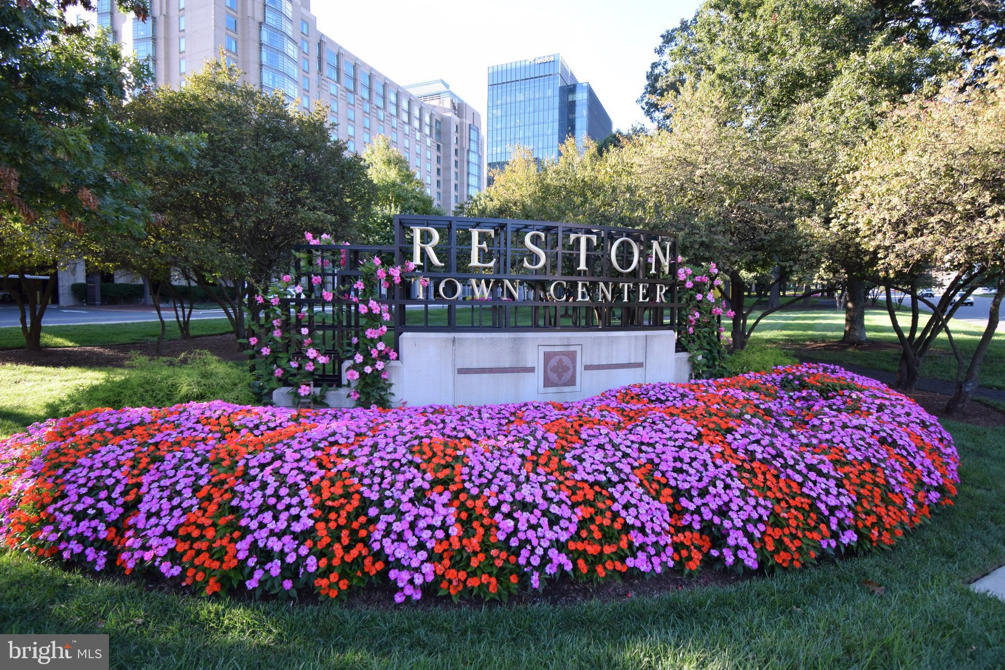 BOSTON RIDGE - Residential Lease
