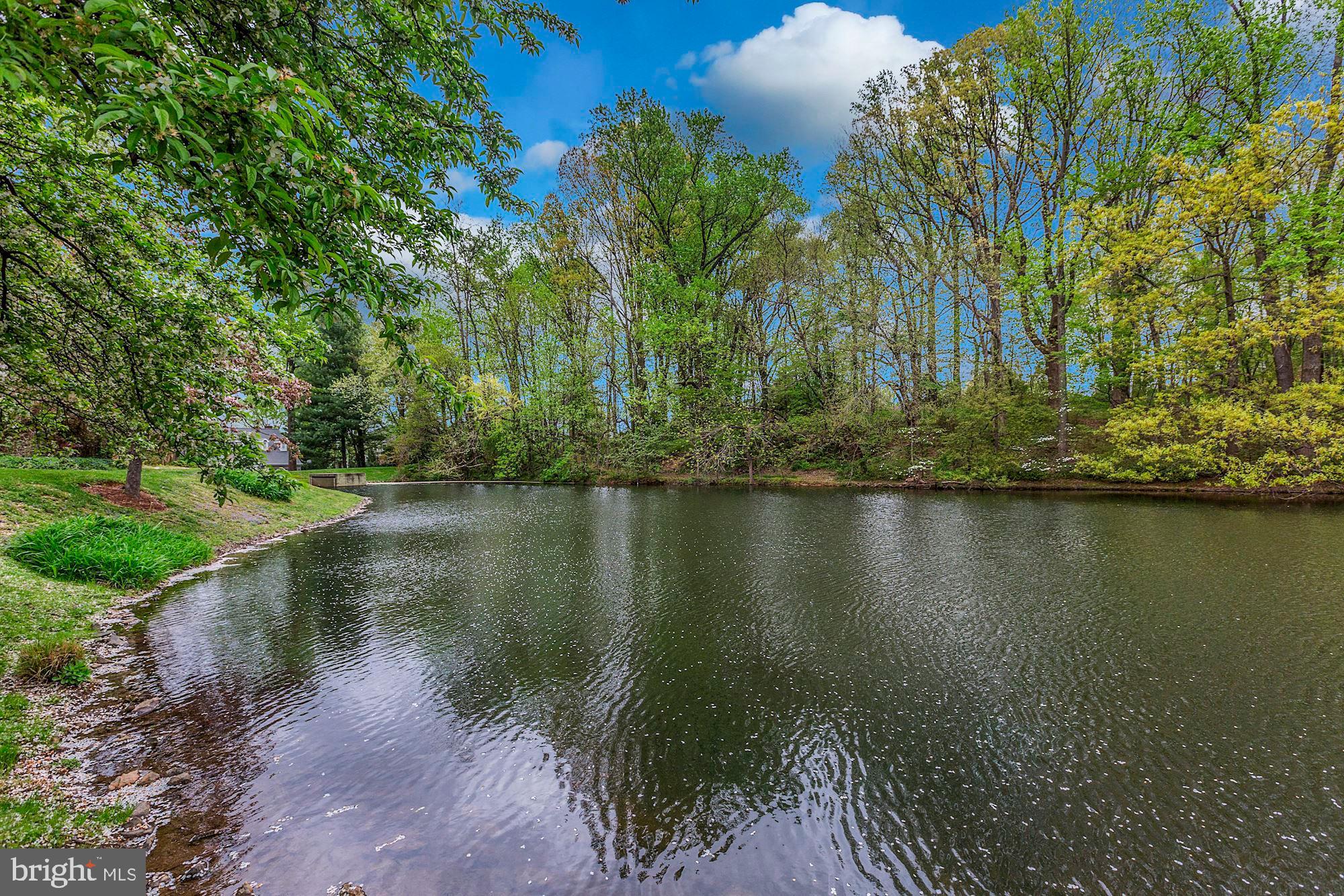 EVANS MILL POND - Residential
