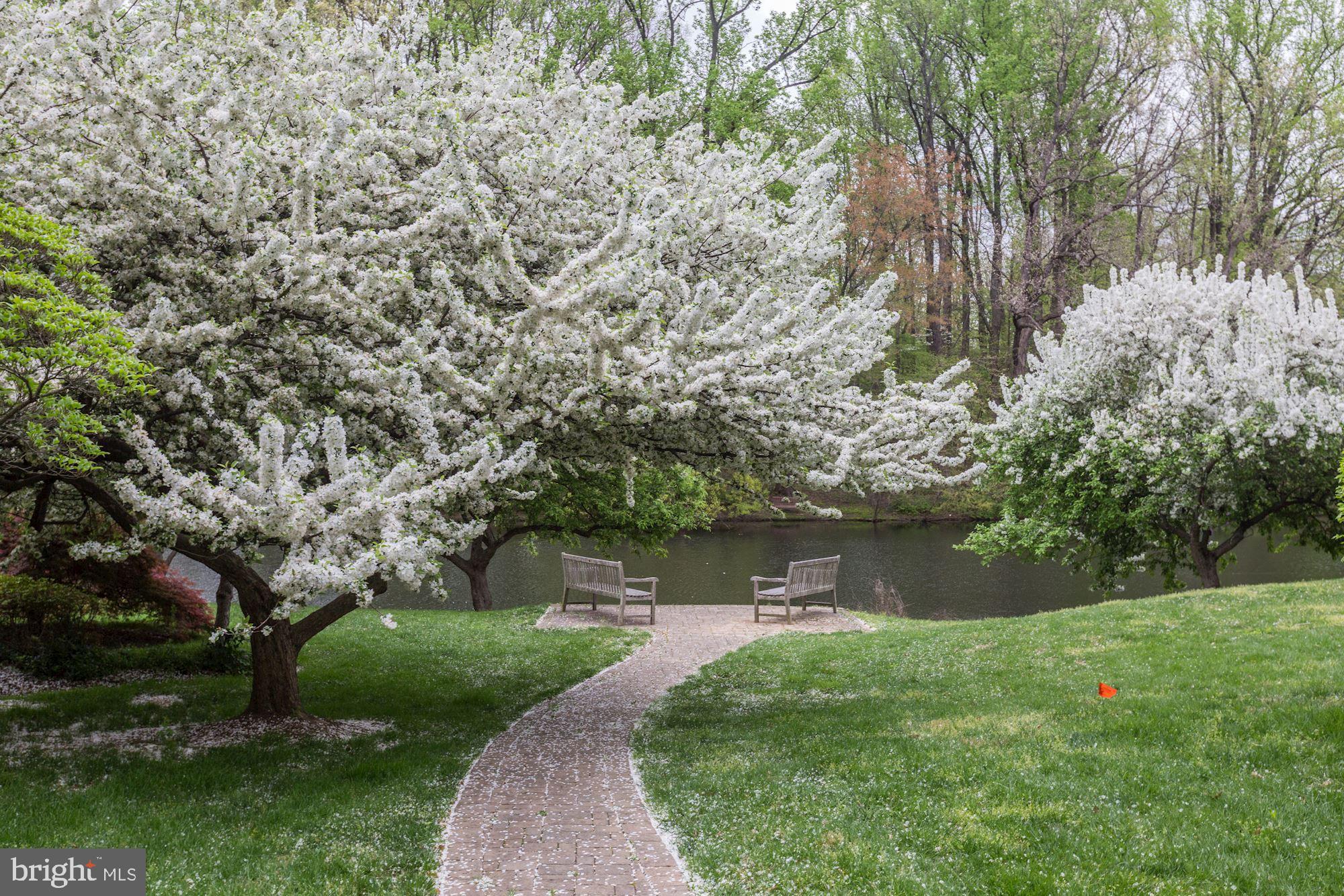 EVANS MILL POND - Residential