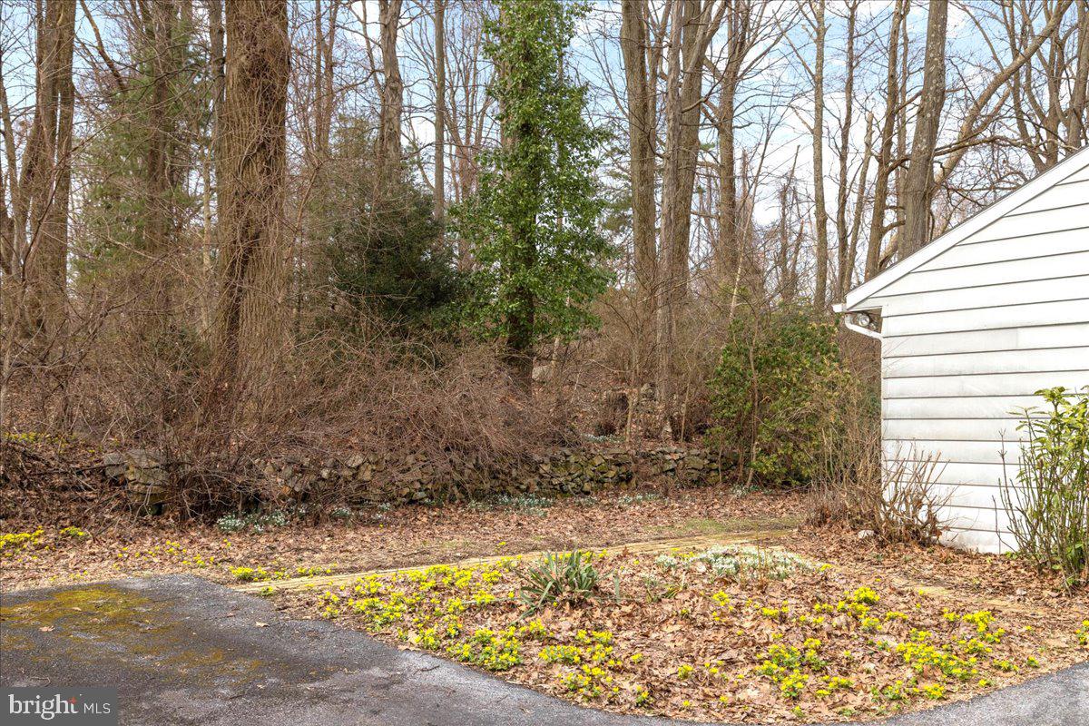 WOODLAND MEADOWS - Residential
