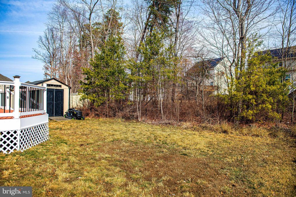 listing image 41