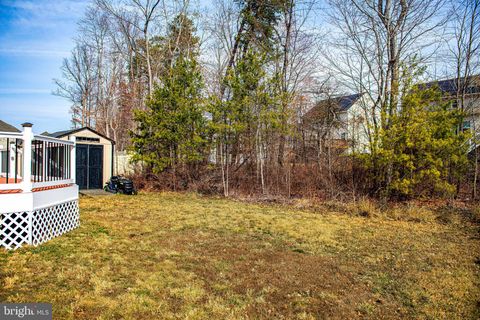 listing image 41