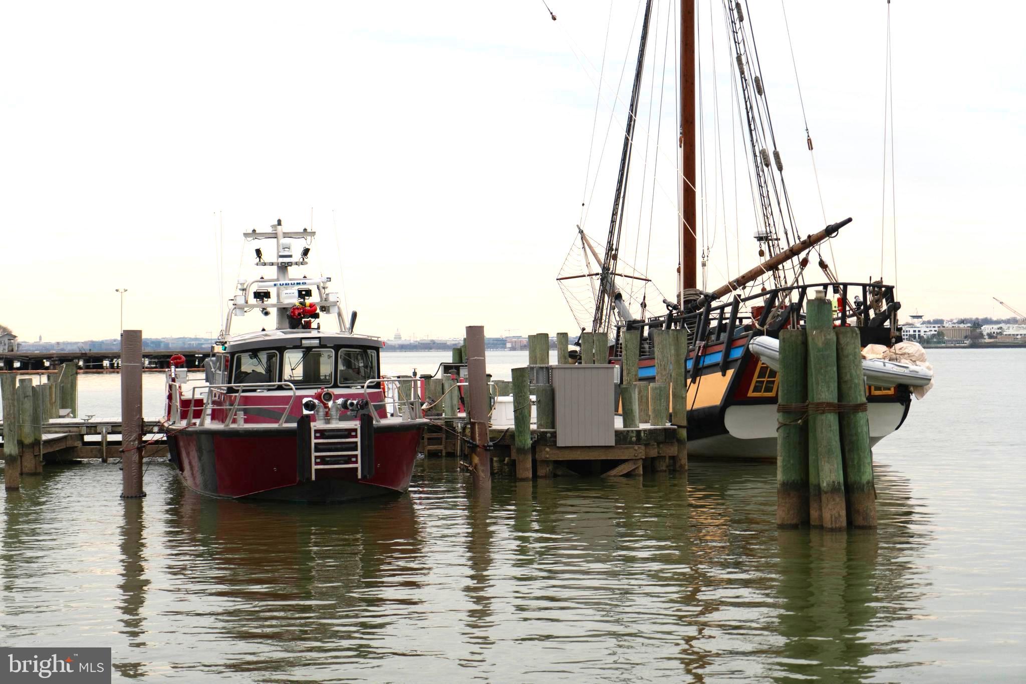 TORPEDO FACTORY - Residential Lease