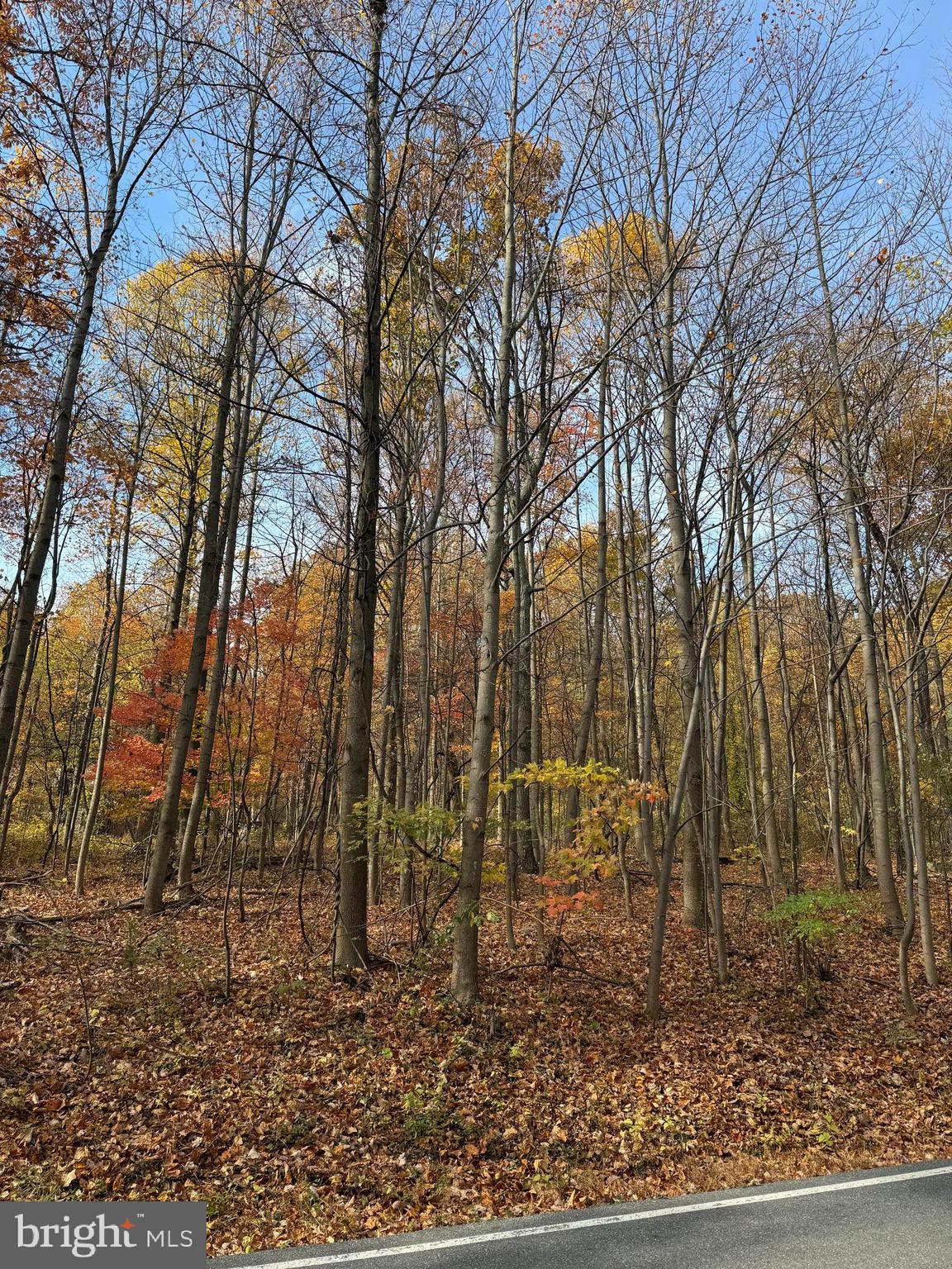 Beautiful, wooded lot in sought after location. Mature neighborhood with excellent access to commuter routes. Recently confirmed septic perk for 5-bedroom conventional system. Buyer must be in the active process of wanting to construct a home. Future house must be contracted with Clabaugh Custom Homes. A local builder in Frederick County for over 29 years. Preferred lender is Mark Wharton of Presidential Bank specializing in construction to perm lending. Preferred settlement company is Creekside Title. Both with local Frederick offices. Opportunity gives you ability to truly design / build a custom home without any design restrictions from production builders. Very rare to the market. Please contact listing agent to walk the property. A must see!!!