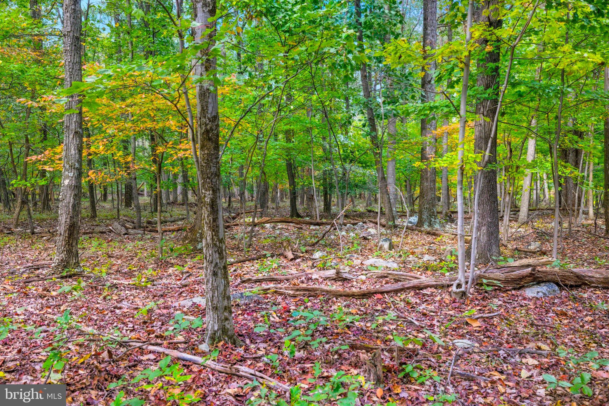 APPALACIAN TRAIL ROAD