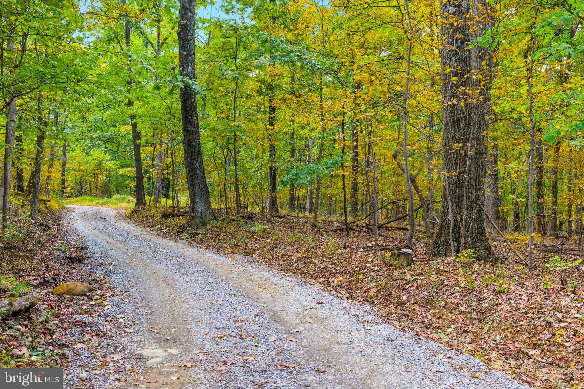 APPALACIAN TRAIL ROAD