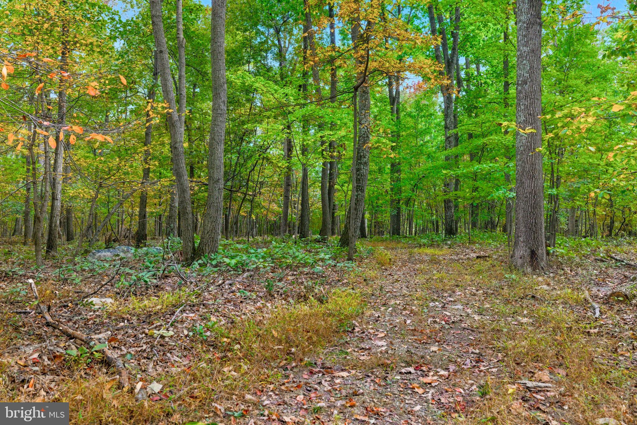 APPALACIAN TRAIL ROAD