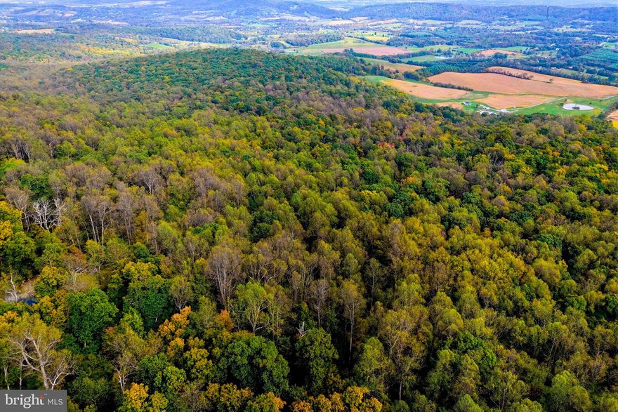 Beautifully wooded 50+ acres just outside Round Hill, with no conservation easement. The mature hardwoods were last harvested in 1994, and the land offers a gentle slope ideal for a variety of uses. A year-round spring runs through the property, which is rich with wildlife. Perfect for hunting, recreation, or building your dream home.