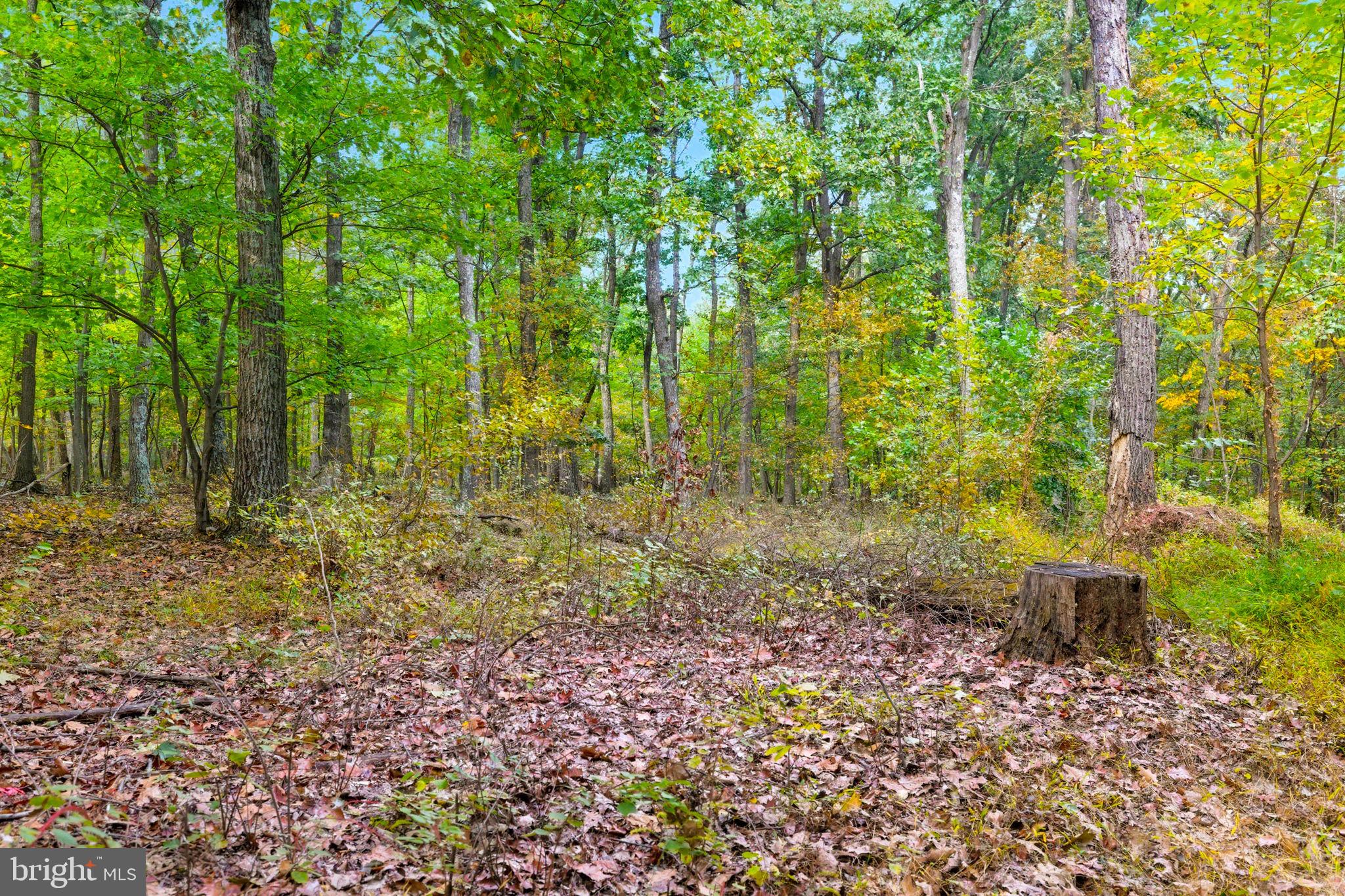 APPALACIAN TRAIL ROAD